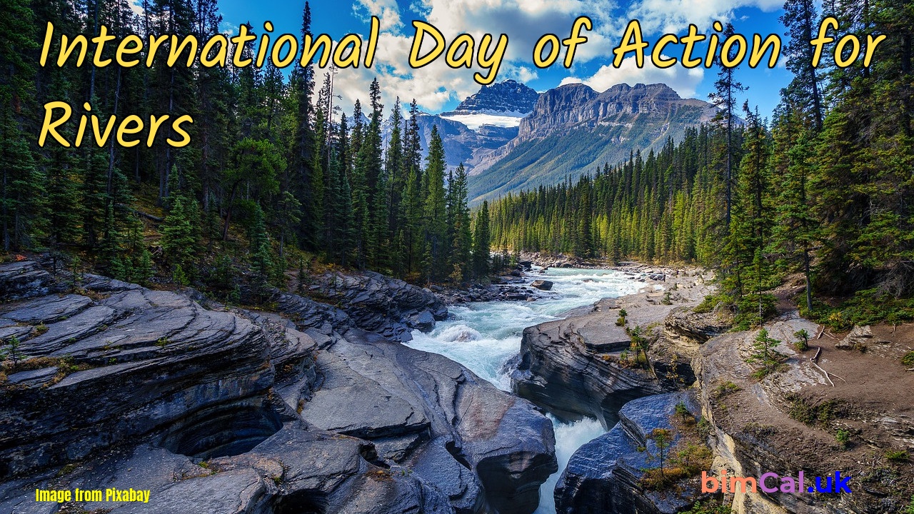 International Day Of Action For Rivers 